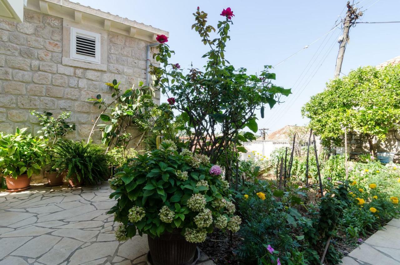 Bozica Dubrovník